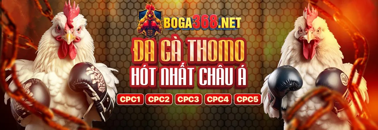 Hình ảnh giới thiệu 68wim website chính thức, đội ngũ chuyên nghiệp